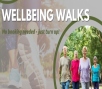 Wellbeing Walk - Ewhurst Elegy Event Image