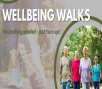 Image relating to Wellbeing Walk - Exploring Ellens Green