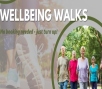 Wellbeing Walk - Horsham Park Stroll Event Image