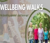 Wellbeing Walk - North Heath, Horsham Event Image