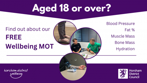 Wellbeing MOT